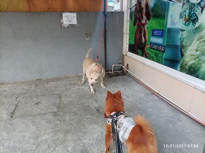 veterinary clinic muntinlupa|Lakeside ANIMAL CLINIC .